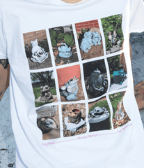 Frog Friends T - White - XL ONLY
